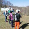 ärlauchwanderung in der Zipfelbachschlucht